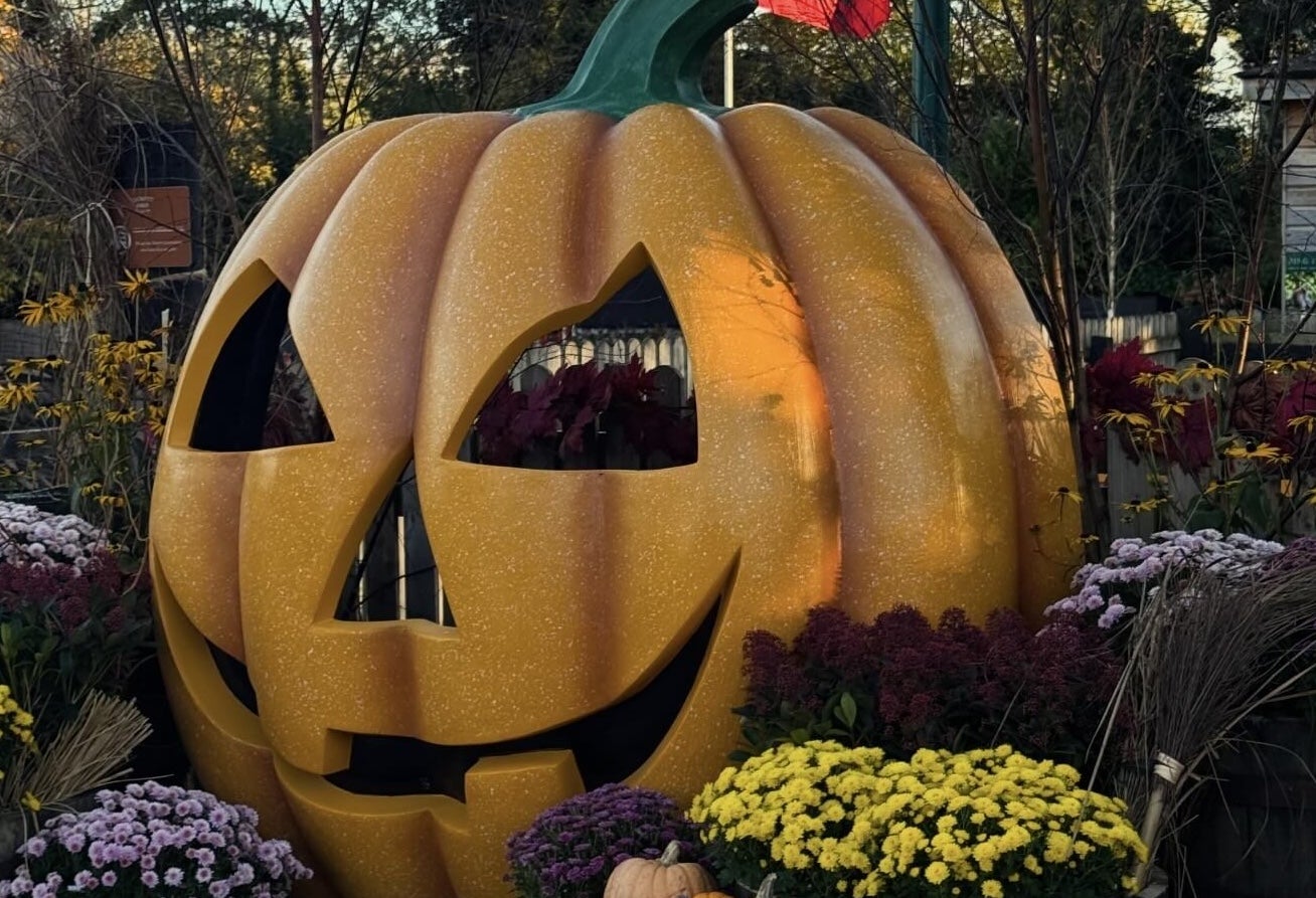 Picture of large pumpkin display