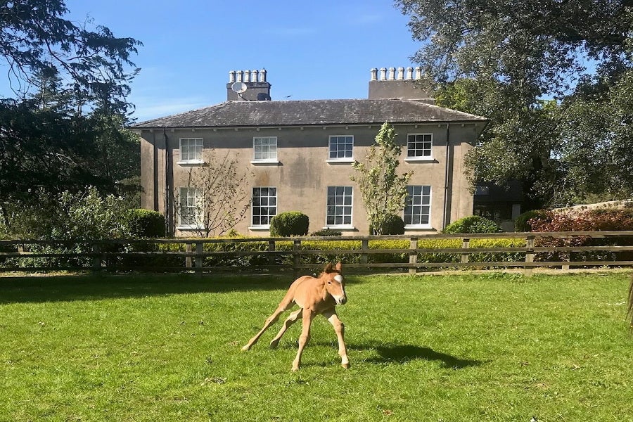 Exterior of Crossogue Equestrian
