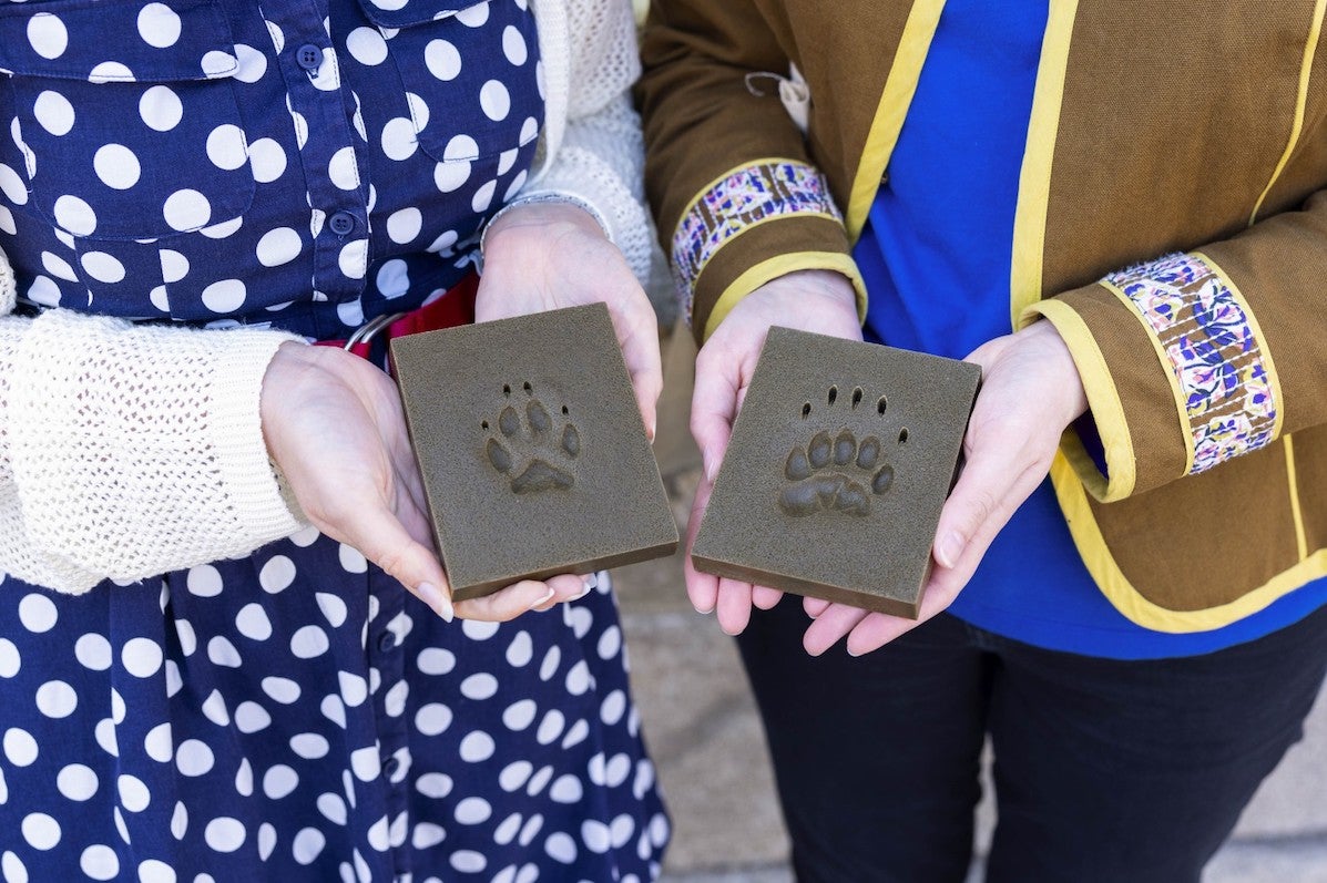 Footprints from the handling collection