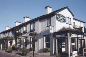 Caseys Hotel