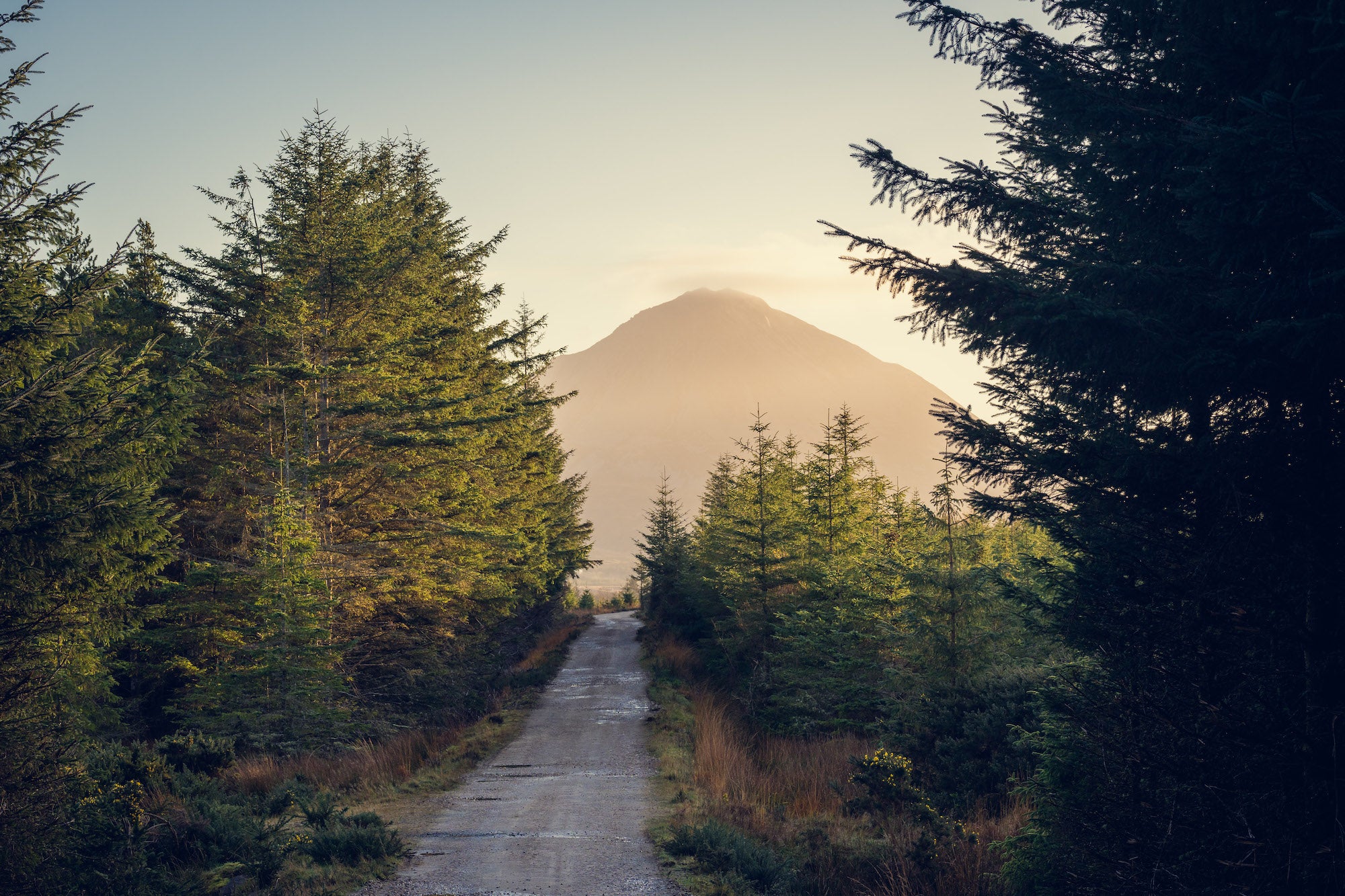 The countryside in Crolly, Co Donegal