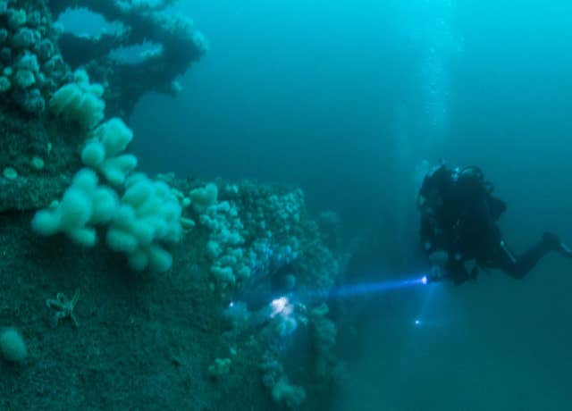 Oceandivers