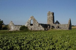 Kilcrea Franciscan Friary