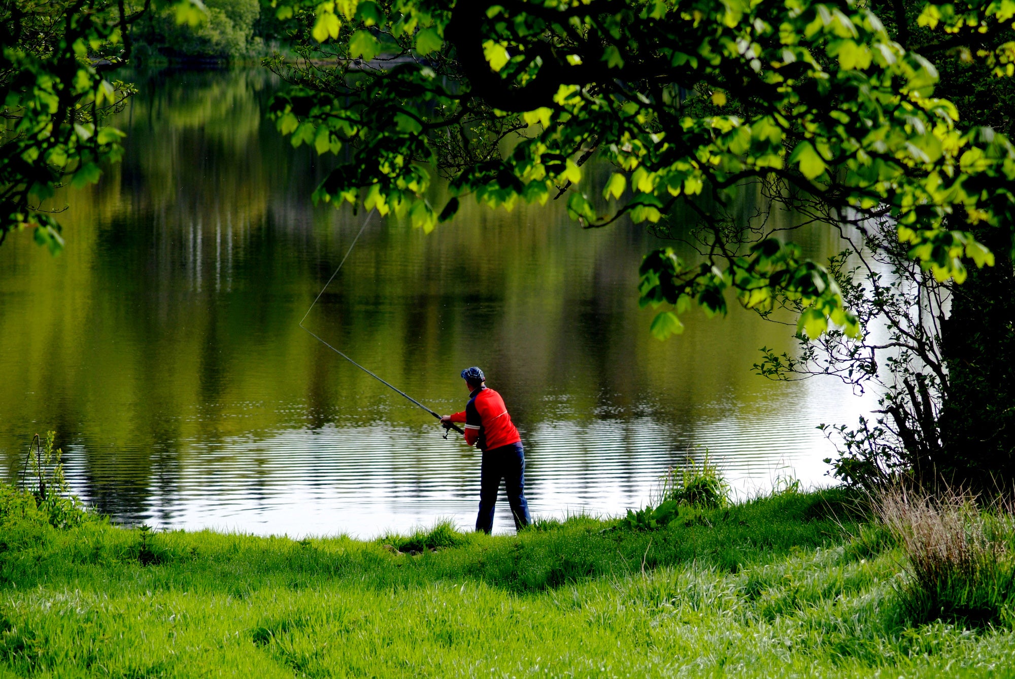 A man fishing in Lough Muckno Leisure Park in Co Monaghan