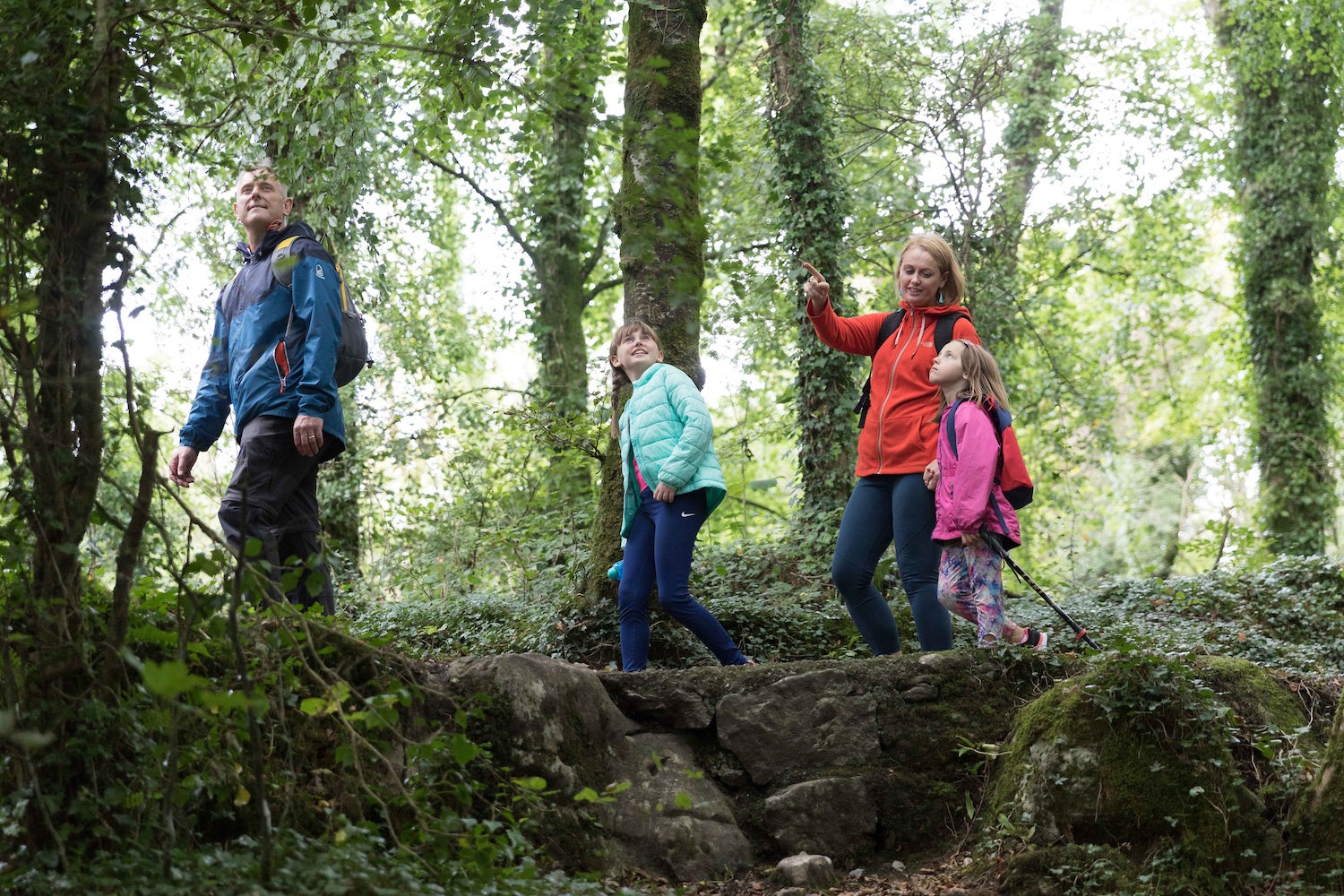 A family of four walking through the Dromore Wood Nature Reserve in Ennis, County Clare.