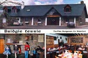 Bridgie Terries Bar & Restaurant