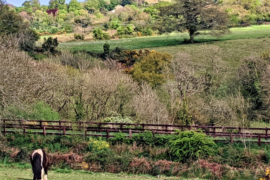 Visit Greenway Equestrian with Discover Ireland