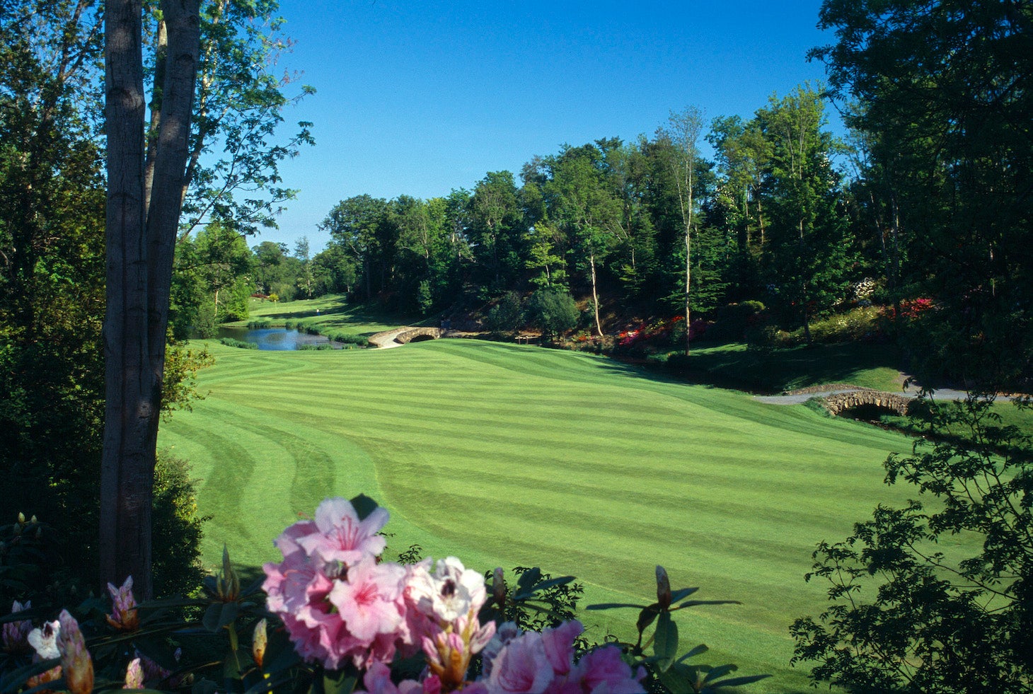 Spring flowers and the green of one of the holes at Druids Glen Golf Resort in Wicklow.