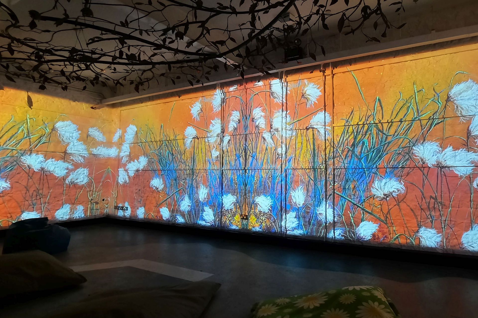 In a large dark room, colourful images of grasses and plants are projected around all the walls.