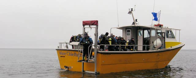 Aquaventures Whale & Dolphin Watching Tours, Diving & Snorkel Rental