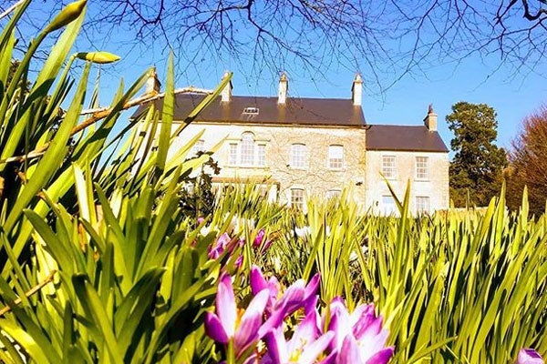 Spring flowers at Dunmore Gardens Carrigans County Donegal