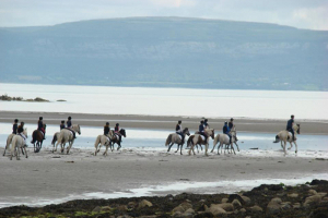 Moycullen Riding Centre