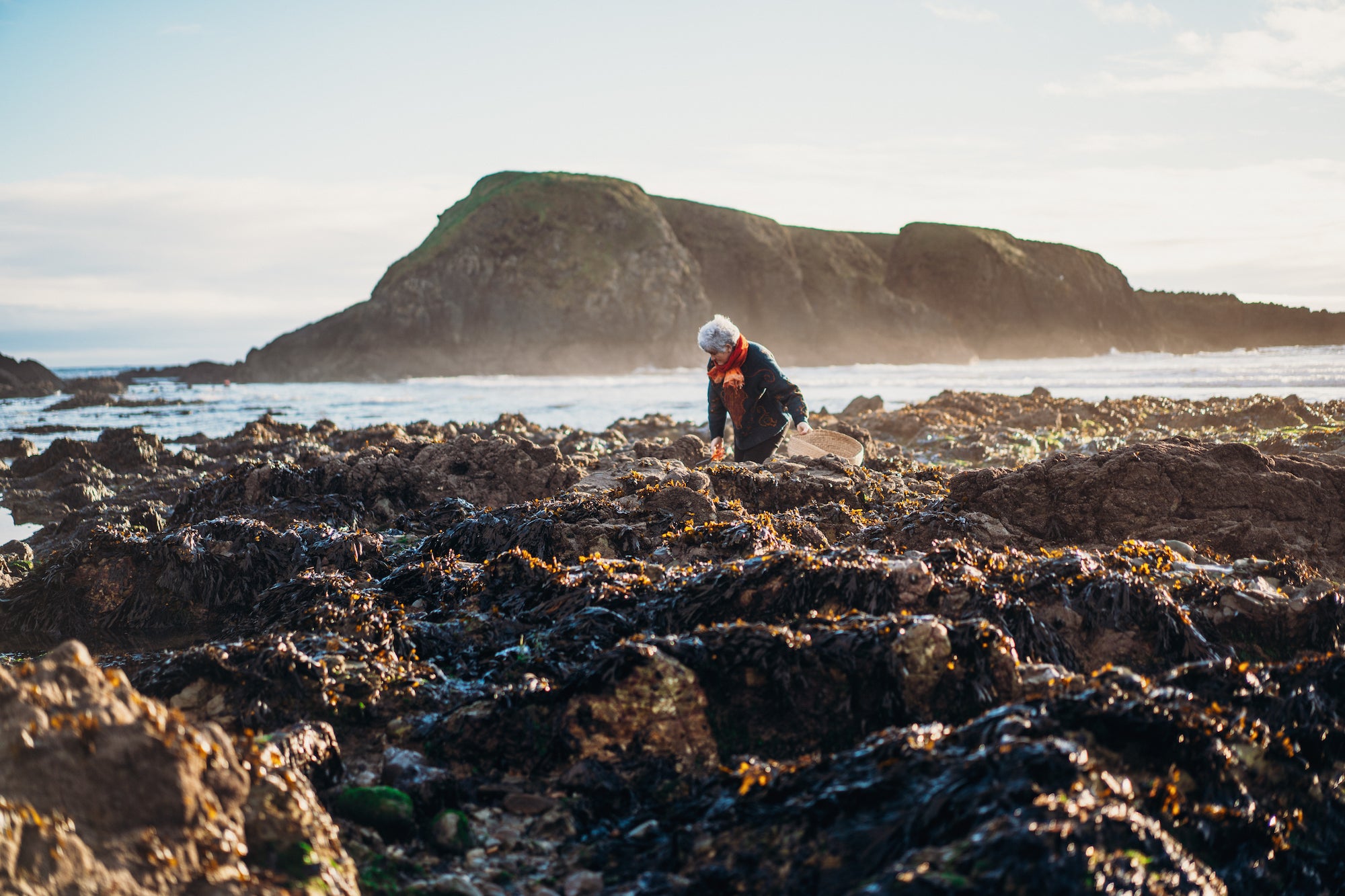 Marie Power, The Sea Gardener, foraging for seaweed in Co Waterford