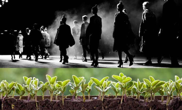 Black and white photo of fashion models walking away in jackets and heels with green and brown image along lower edge of green shoots in soil.