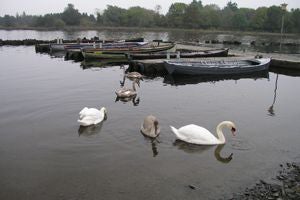 Lakeland & Midsummer Lakehouse