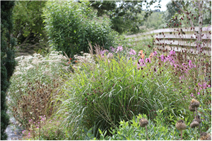 Camolin Potting Shed Garden | Activities | Nature and Wildlife ...