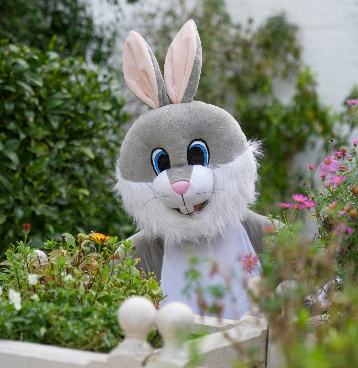 Easter Bunny in Fota Gardens