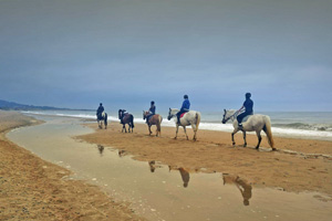 Maltfield Stud Riding School at the beach