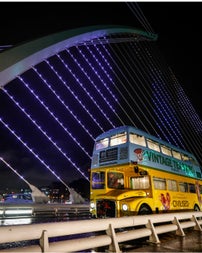 Vintage Tea Trips Christmas Lights Trip