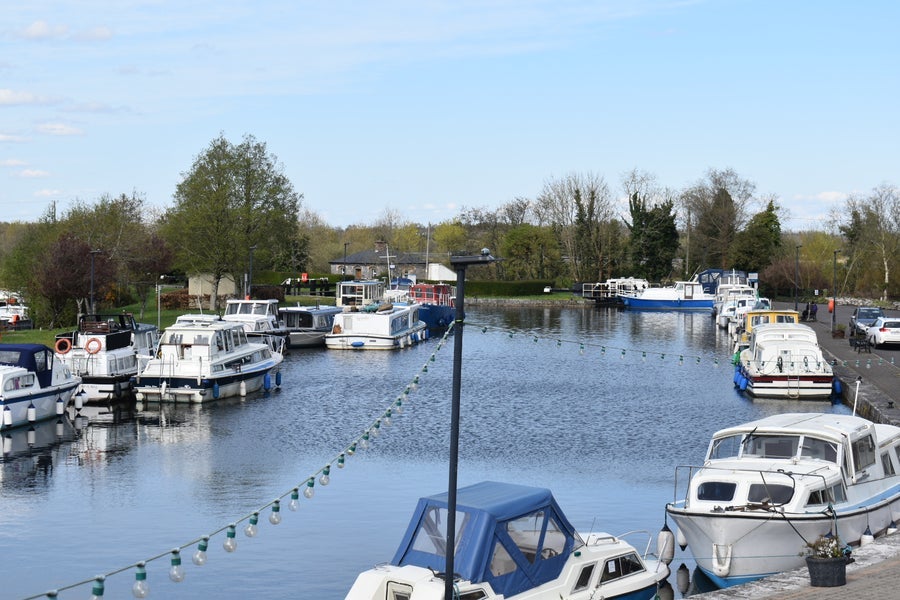 Cruiser boats moored by a marina