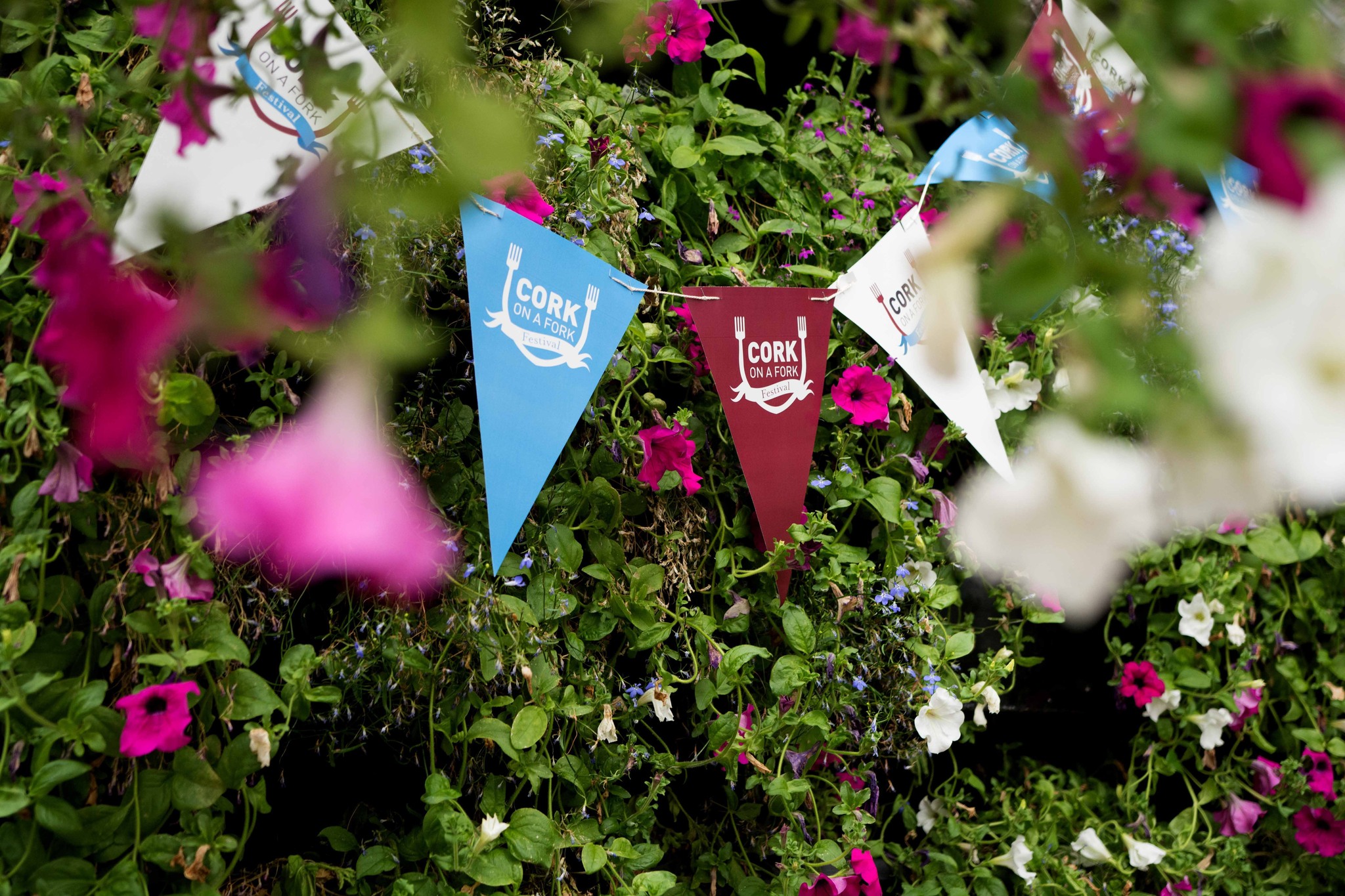 Get a taste of Cork's Food Culture