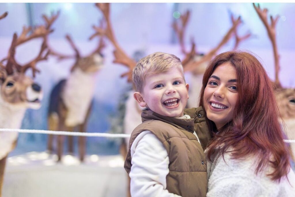 Christmas Journey to the Wild Arctic