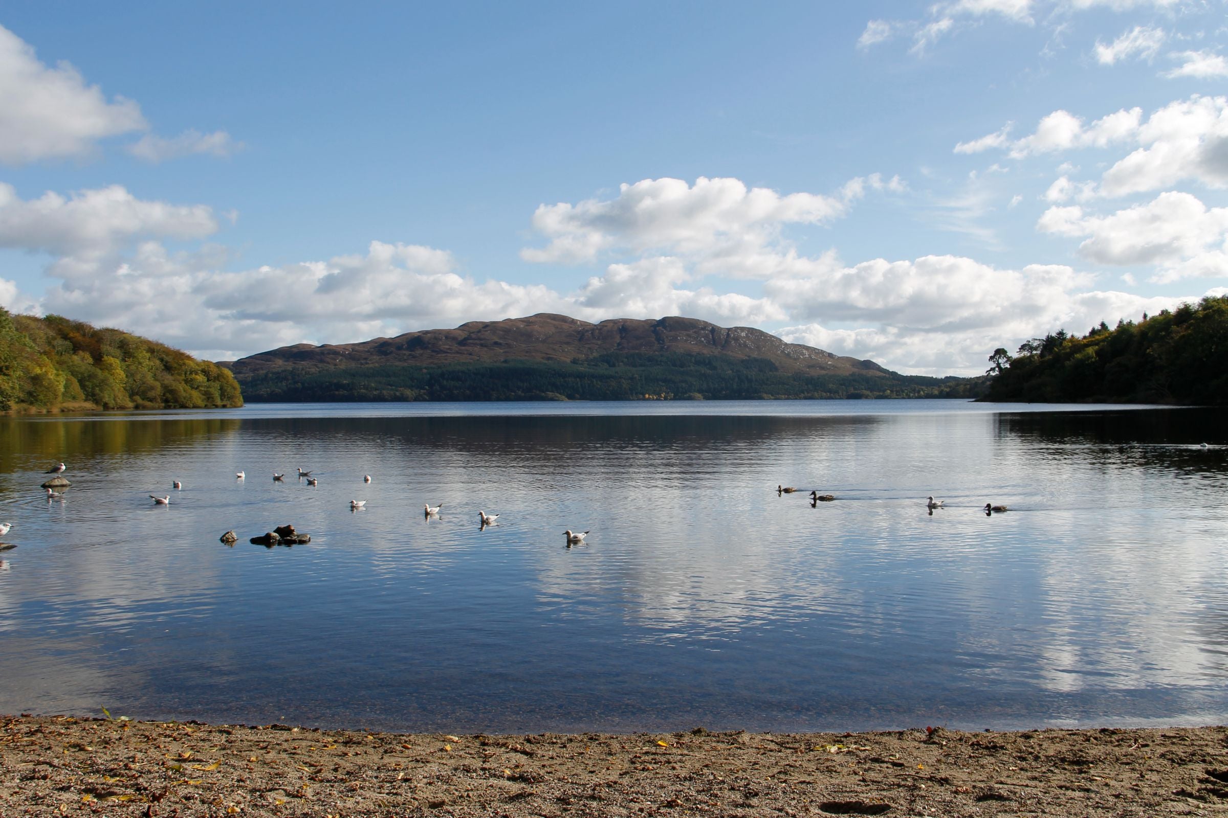 Hazelwood Forest and Lough Gill, County Sligo