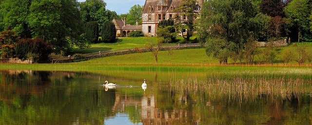 Castle Leslie Estate