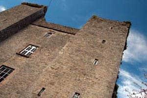 Dardistown Castle