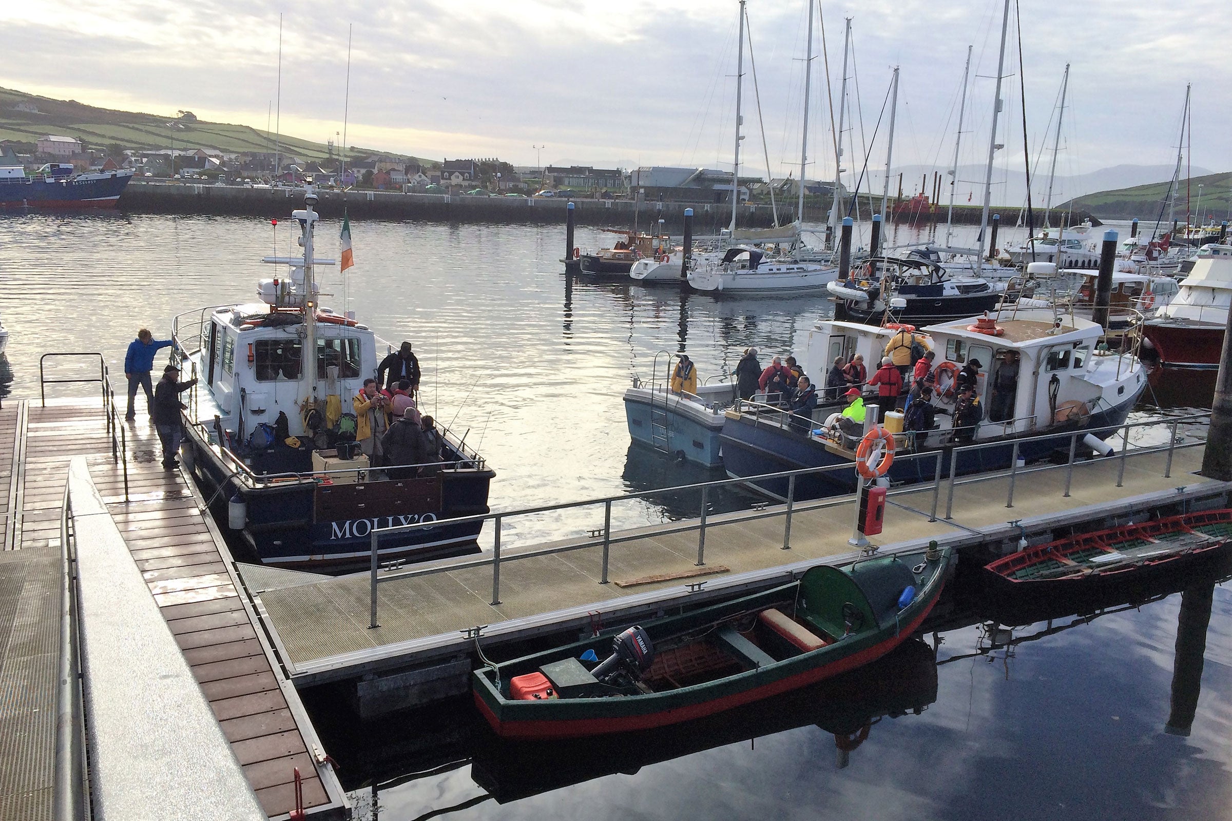 The charter boat Molly O moored at Dingle Marina