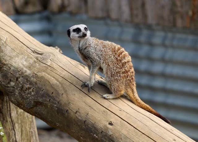 Secret Valley Wildlife Park