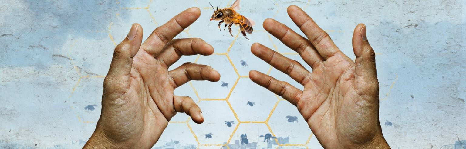 The Beekeeper of Aleppo  /