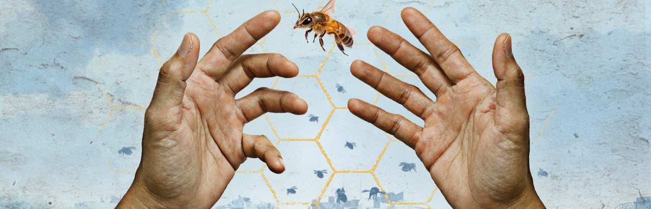 The Beekeeper of Aleppo  /