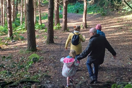 Families in the Forest is a perfect way to connect with nature and each other.