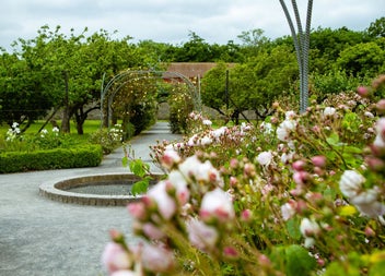 A garden with trees and plants