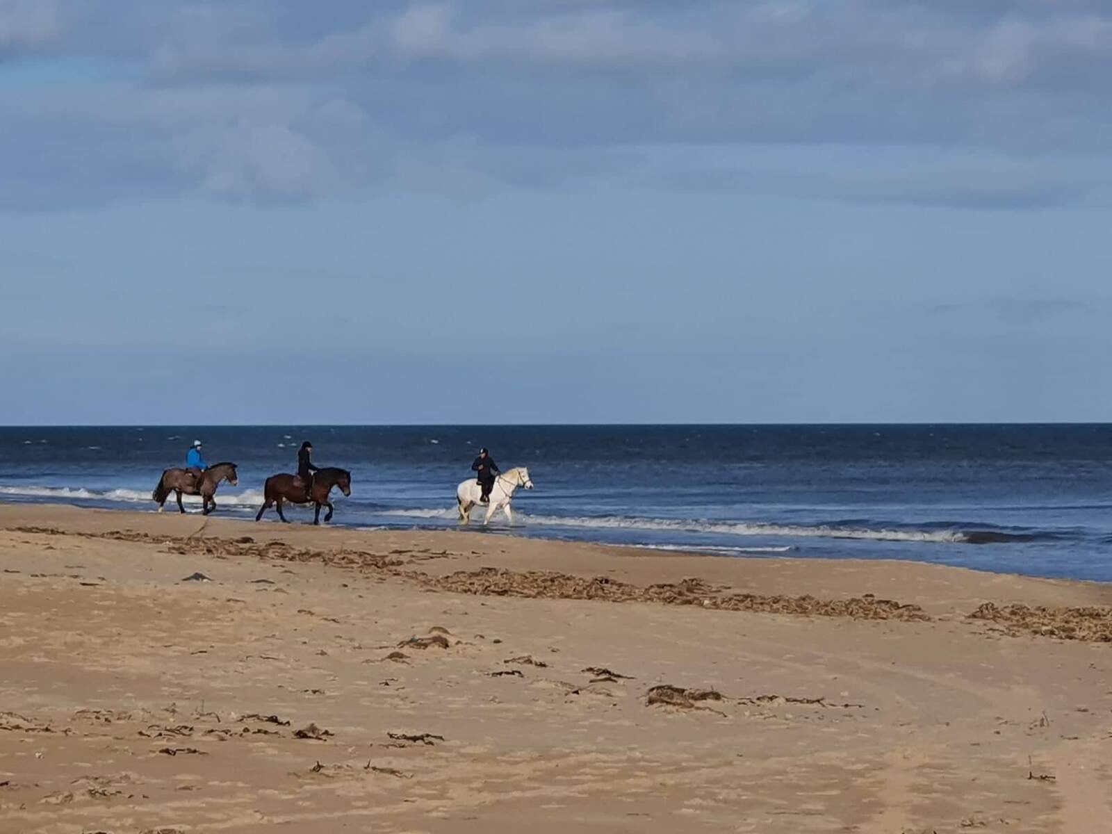 Three horses and riders on the seashore with sand