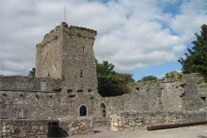 Castlelyons Dominican Friary