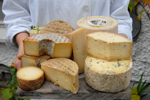 Image of variety of cheese