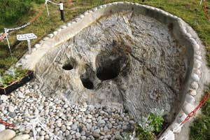 Darkest Discoveries Donegal