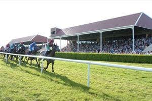 Wexford Racecourse