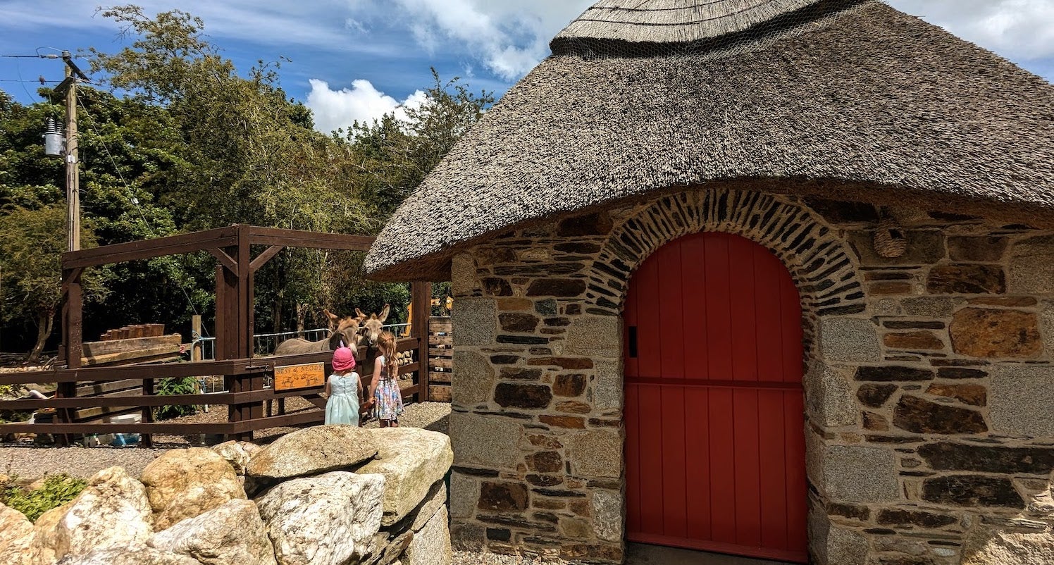Two kids petting the donkeys at the Old Post Office Ballycarney in County Wexford.