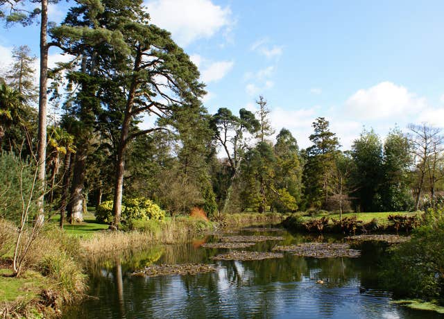 Fota Arboretum & Gardens