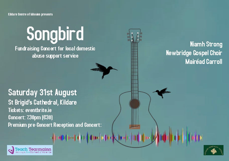Fundraising concert in aid of Kildare refuge