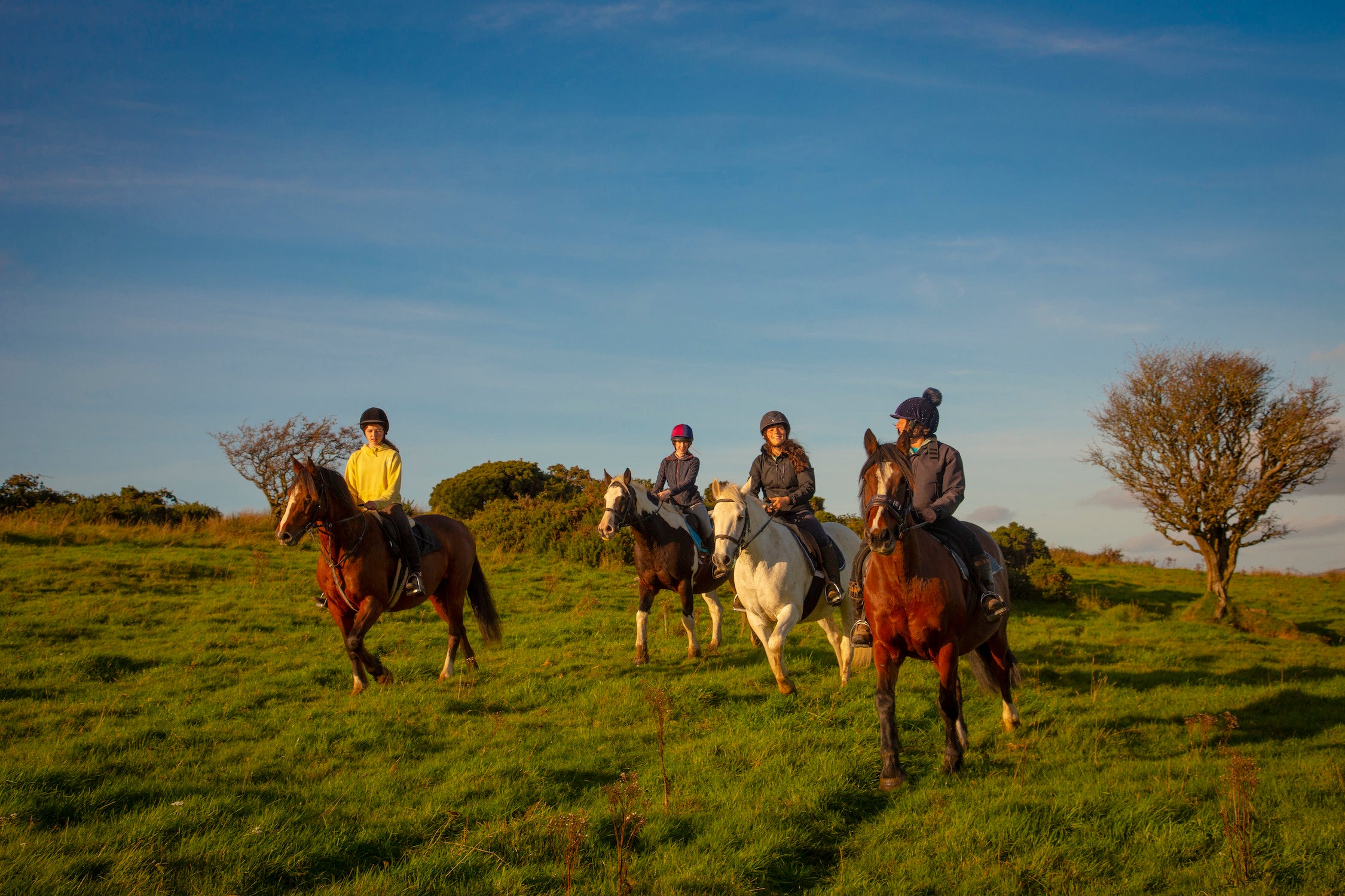 Riders from Tipperary Mountain Trekking Centre in Co Tipperary
