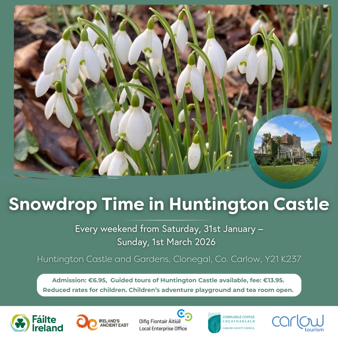 Poster for Carlow Snowdrop Time - Huntington Castle with picture of small plants with white blooms