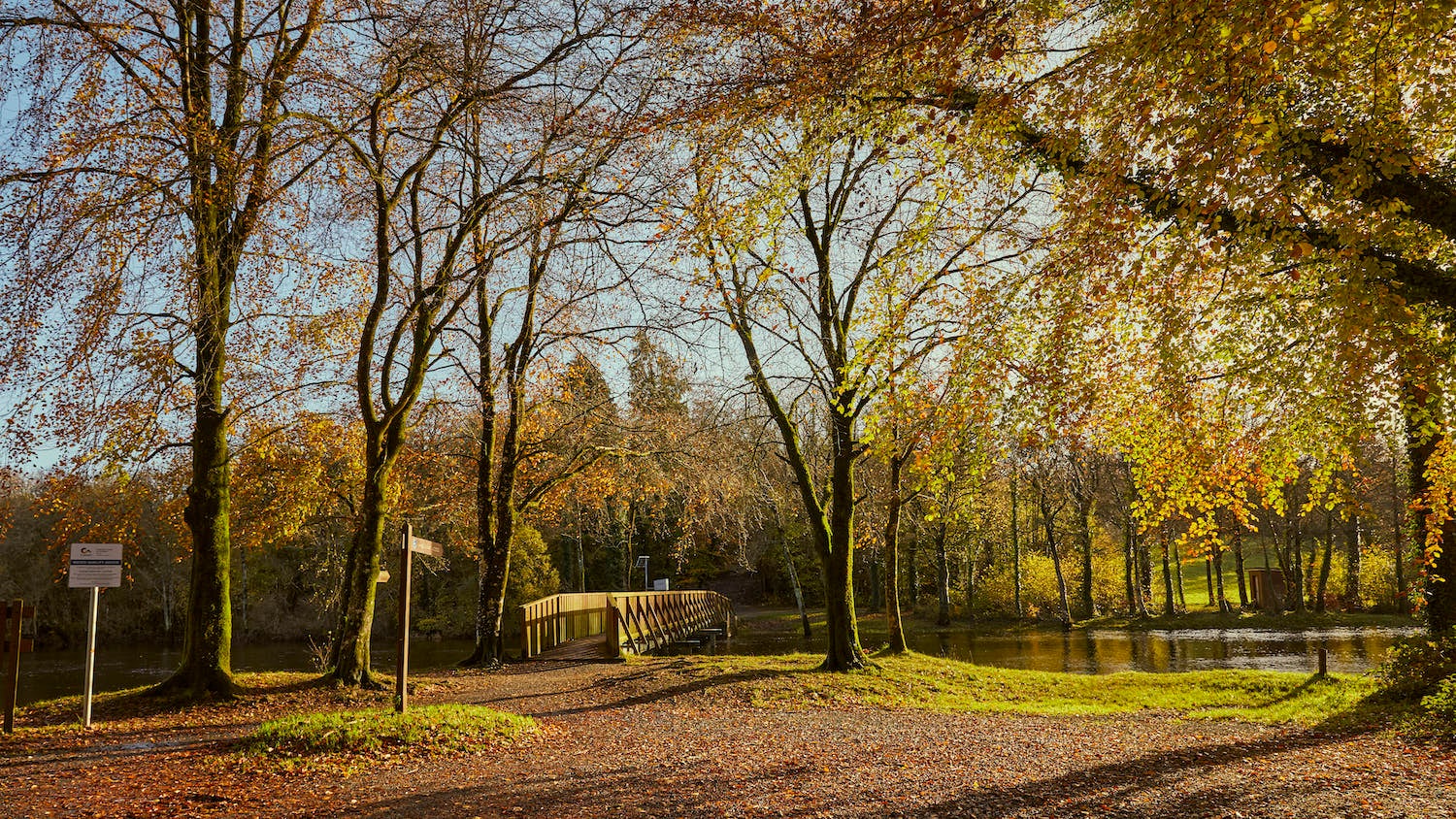 Killykeen Forest Park in Co Cavan