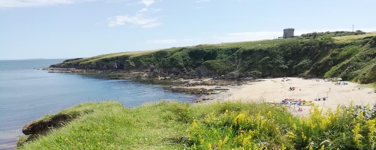 Carnivan Beach in Wexford