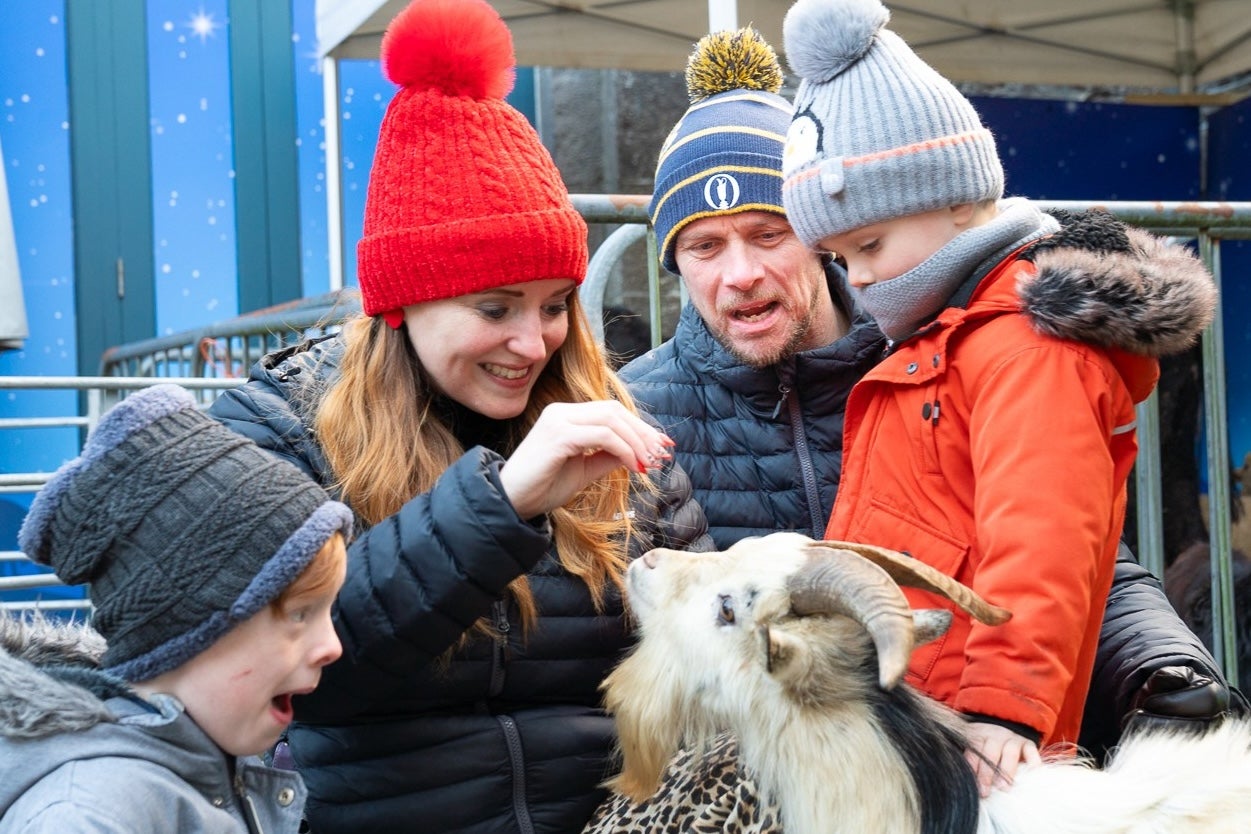 Visitors meet with animals from Kiltimagh Pet Farm at the live crib in Turlough Park. Image: John Mee