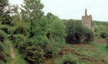 Dromore Wood & Visitor Centre