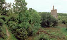 Dromore Wood Nature Reserve & Visitor Centre